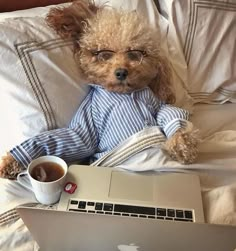 a dog sitting on a bed with a laptop and cup of coffee in front of it