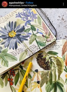 an open book with flowers and leaves on it next to a yellow pen, scissors and pencil