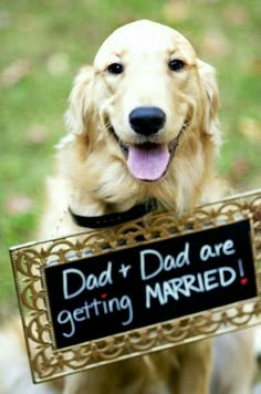 a dog holding a sign that says mom and dad are getting married