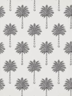 a wallpaper with palm trees on it