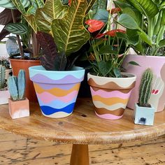 several potted plants sitting on top of a wooden table