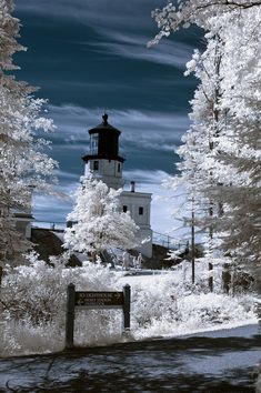 the lighthouse is surrounded by tall trees and snow covered bushes on either side of the road