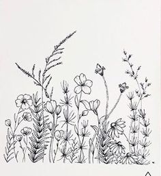 a black and white drawing of wild flowers