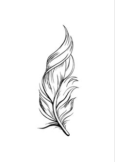 a black and white drawing of a feather