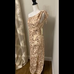 Nwt & Absolutely Stunning! Champagne Spring Gala Dress, Spring Formal Champagne Dress, Champagne Spring Formal Dresses, Champagne Formal Dress For Spring, Champagne Dresses For Spring, Spring Champagne Party Maxi Dress, Champagne Maxi Dress For Spring Party, Champagne Maxi Dress For Spring Evening, Fitted Champagne Maxi Dress For Spring