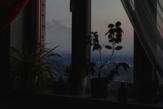 a window with some plants in it and a view of the city from behind them