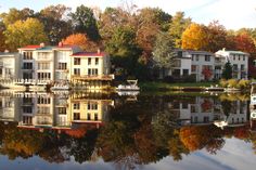 houses on the water surrounded by trees with autumn foliage around them and boats in the water