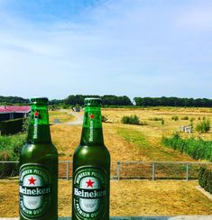 two green beer bottles sitting next to each other on top of a wooden table in front of a field