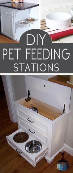 diy pet feeding stations for dogs and cats