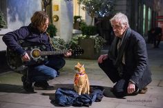 an older man playing guitar next to a small dog on the ground with his owner