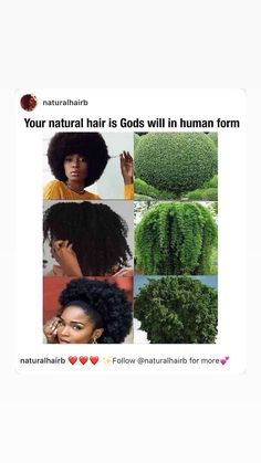 Coily Hairstyles, Natural Hair Growth Tips, Afro Curls, Natural Hair Products, Quick Natural Hair Styles, Goddess Braids Hairstyles, Wavy Hairstyles, Curly Hair Styles Easy