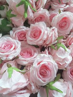 many pink roses with green leaves on them