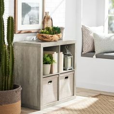 a living room with a potted plant on the shelf