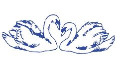 two swans are swimming together in the water, one is blue and the other is white