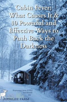 Cabin fever, seasonal affective disorder, mild depression, whatever you call it, it is a malady that affects rural people and northerners in the middle of the winter, in the dreariness of winter weather. But once you understand what it is you will have in your hands the way to overcome cabin fever. Rural People, Fever Symptoms, Fever Relief, Diy Herbal Remedies, Seasonal Affective, Diy Herb Garden, Herb Gardening, Herbal Magic, Work Diy