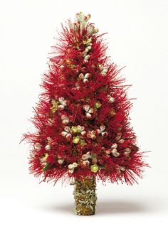 a red christmas tree with white and green decorations on it's branches, in front of a white background