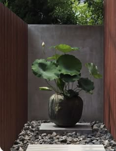 a large potted plant sitting on top of a stone slab next to a wooden fence