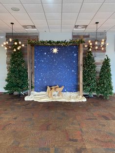 an indoor stage set up with christmas trees and lights