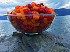 a bowl filled with fruit sitting on top of a rock next to the water's edge