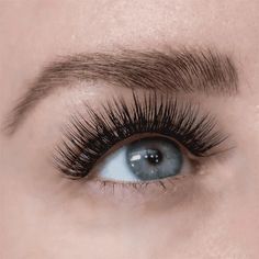 THE 6 BEST EYELASH LOOKS FOR HOODED EYES – Lashify Fake Eyelashes For Hooded Eyes, False Lashes For Hooded Eyes, Looks For Hooded Eyes, Eyelash Looks, Lash Photography, Eye Lash Style, Hooded Lids, Hooded Eyelids, Best Lash Extensions