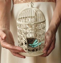 a person holding a bird in a cage with two blue birds inside it and the other hand