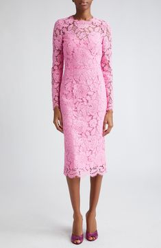 Dolce&Gabbana Long Sleeve Cordonetto Lace Sheath Dress | Nordstrom Fitted Sheath Midi Dress With Scalloped Lace, Fitted Sheath Lace Dress With Scalloped Lace, Elegant Fitted Midi Dress With Delicate Lace, Feminine Sheath Lace Dress With Lace Trim, Formal Fitted Midi Dress With Delicate Lace, Formal Fitted Midi Dress With Lace Work, Formal Fitted Lace Work Midi Dress, Delicate Lace Midi Dress For Formal Occasions, Fitted Lace Midi Dress For Evening