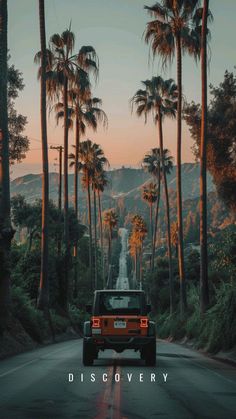 a jeep driving down a road surrounded by palm trees