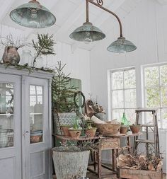 a room filled with lots of potted plants on top of wooden flooring next to windows