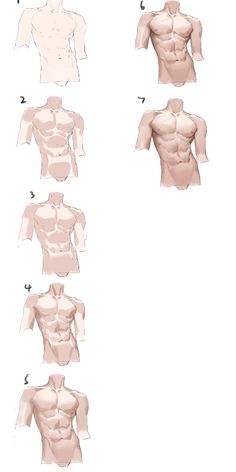 the back and side view of a man's torso, with different angles to show it