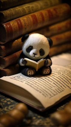 a stuffed panda bear sitting on top of an open book next to stacks of books