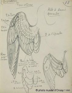 a drawing of an eagle with its wings spread out and the words written on it