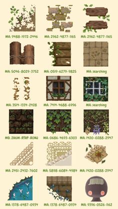 an info sheet showing different types of plants