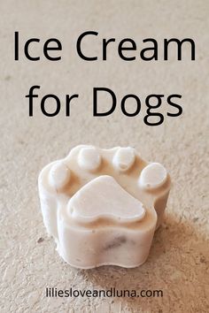 an ice cream for dogs is shown on the floor