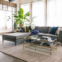 a living room with a couch, coffee table and potted plant in the corner