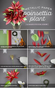 how to make paper poinsettia plant