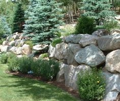 there is a rock wall in the yard