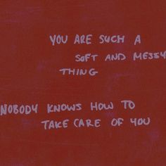 graffiti written on the side of a red wall that says, you are such a soft and messy thing nobody knows how to take care of you