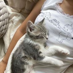 a small kitten laying on top of a woman's lap next to a teddy bear t - shirt