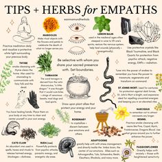 Witch Herbs, Magic Herbs, Magical Herbs, Herbal Healing, Herbal Magic