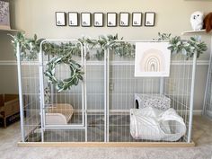 A white playpen for a bunny with lamb’s ear garland and wreath. Rainbow canvas photo. Cinnabun written in letter frames on the wall. Bunny Cage Decor, Bunny Set Up Indoor Diy, Bunny Habitat Indoor, Rabbit Set Up Indoor, Free Roam Bunny Set Up