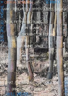 an image of trees in the woods with words written on them and some type of writing