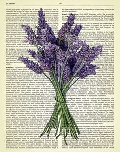 a bunch of purple flowers sitting on top of an old book page with the word love written in it