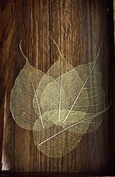 an image of a leaf on a wooden surface