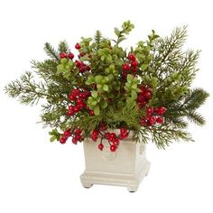 a potted plant with red berries and greenery in it on a white background