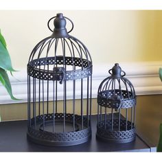 two metal birdcages sitting on top of a table next to a plant in a vase