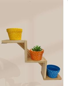 three potted plants on wooden shelves with polka dotty pots and one planter