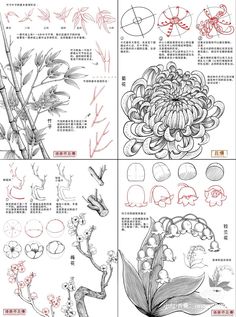 Foliage Drawing Tutorial, Flower Sketch Reference, Chinese Art Tutorial, How To Draw Plants, Flower Tutorial Drawing, Drawing Flowers Step By Step, Chinese Sketch, How To Draw Nature