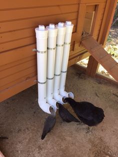 four white pipes are attached to the side of a building with two black birds perched on them