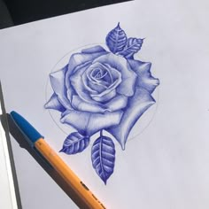 a drawing of a blue rose with leaves on it's side and a pencil in the foreground