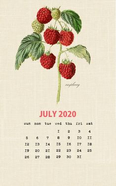 a july calendar with raspberries on it